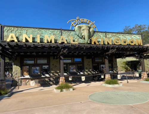 Transportation from Orlando Airport to Disney World: What You Need to Know