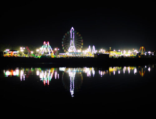 Top Christmas Events You Can Reach Comfortably With Chauffeur Service in Orlando